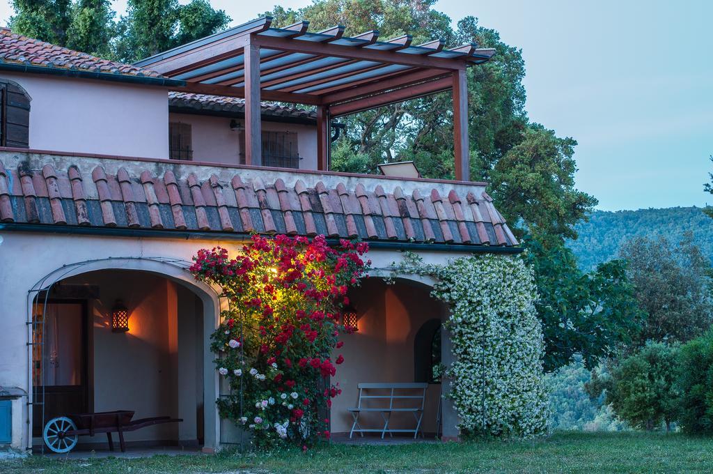 Pensjonat Agriturismo Colle Donatucci Castagneto Carducci Pokój zdjęcie