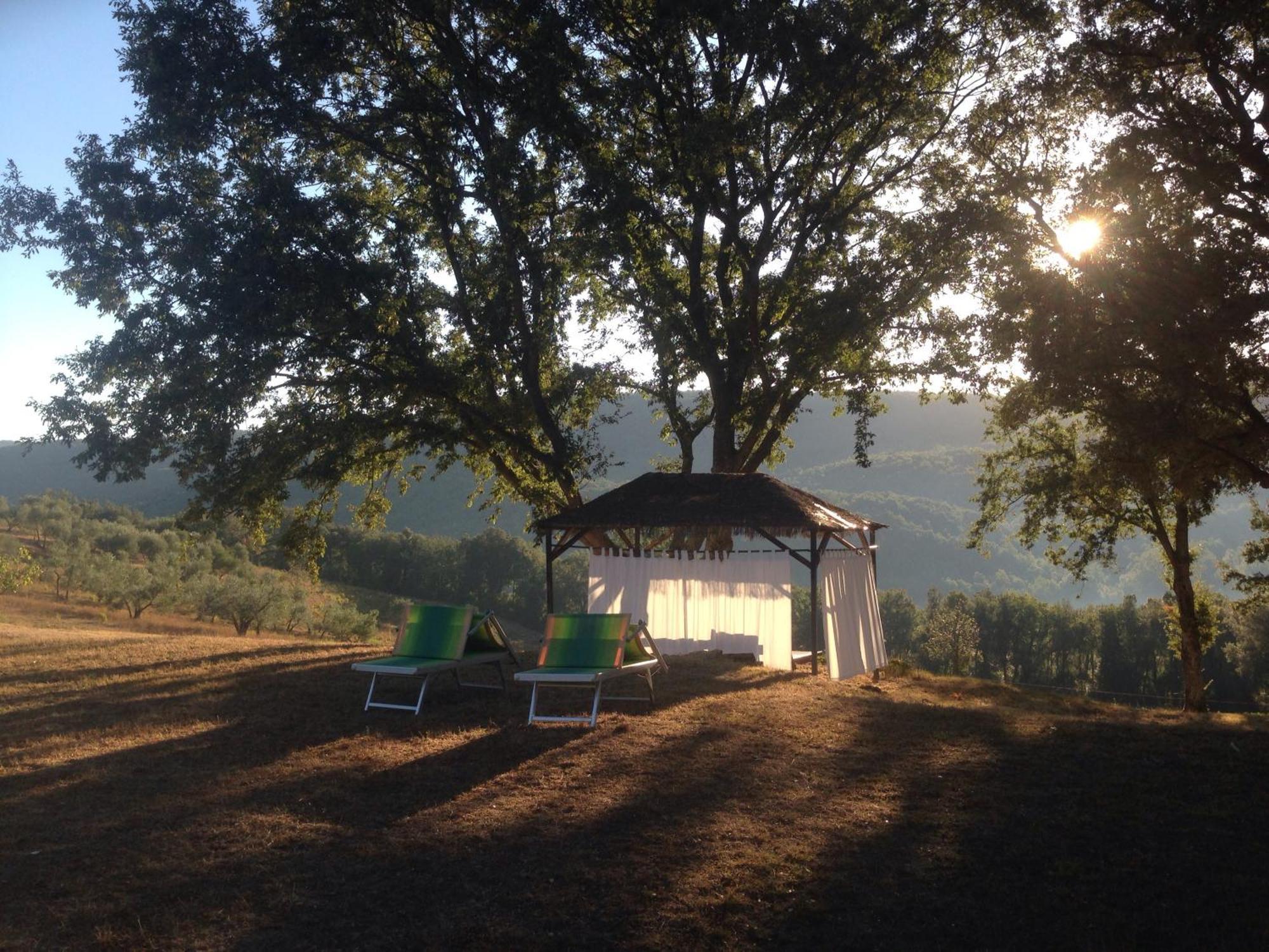 Pensjonat Agriturismo Colle Donatucci Castagneto Carducci Zewnętrze zdjęcie