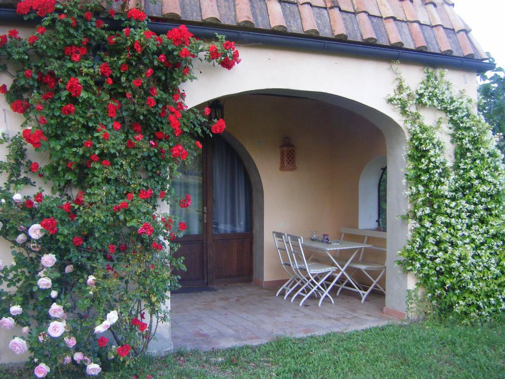 Pensjonat Agriturismo Colle Donatucci Castagneto Carducci Pokój zdjęcie