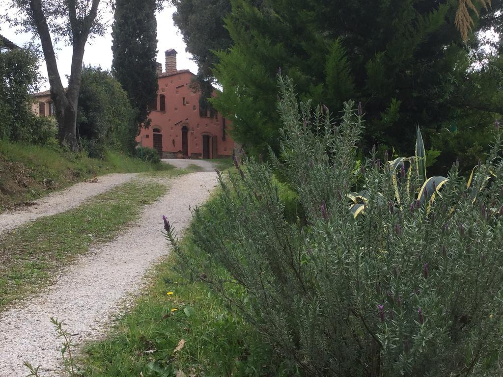 Pensjonat Agriturismo Colle Donatucci Castagneto Carducci Zewnętrze zdjęcie